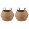 vidaXL Саксия за растения с дръжки 2 pcs Натурално &Oslash; 32 x 32 см