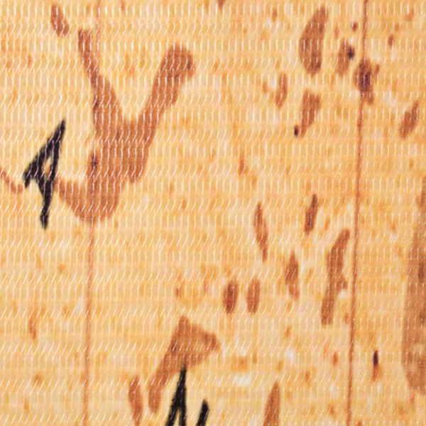 vidaXL Сгъваем параван за стая, 160x170 см, карта на света, жълт