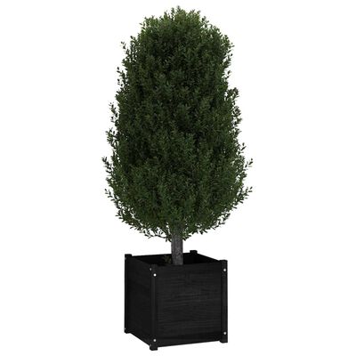 vidaXL Градински сандък, черен, 50x50x50 см, борово дърво масив