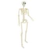 vidaXL Хелоуин скелет 2 pcs Бяло 85 cm ПВЦ