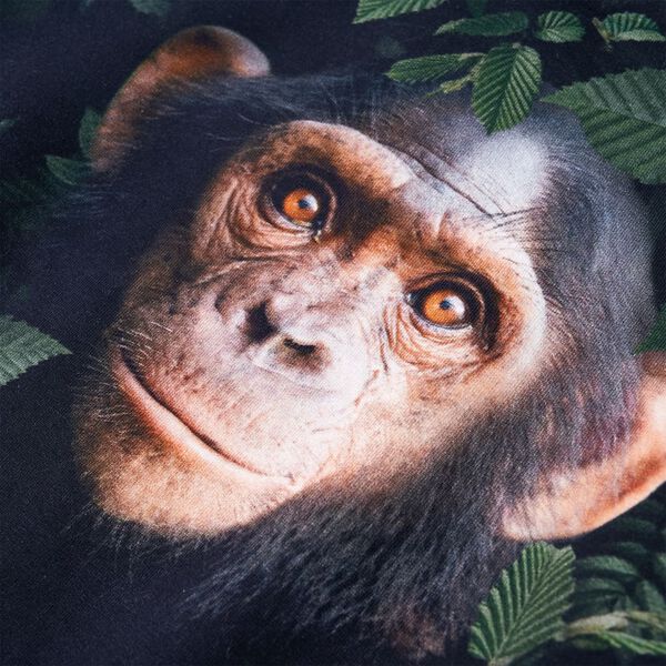 Детски суитшърт, тъмно каки, 116