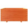 vidaXL Градинска кашпа, восъчнокафяв 100x100x49,5см борово дърво масив