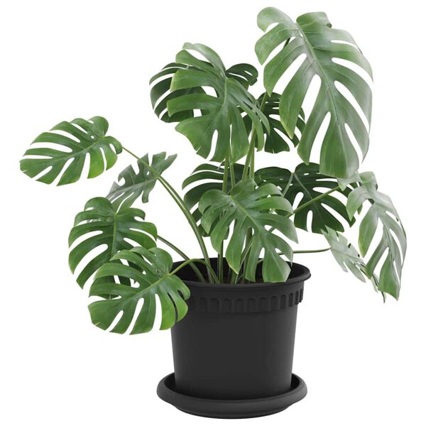 Показване снимка 3 от 12