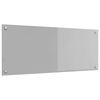 vidaXL Кухненски гръб Светлосиво 100 x 40 cm закалено стъкло