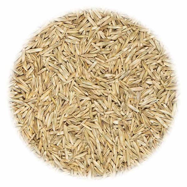 vidaXL Тревна смеска за спорт и игра, 20 кг