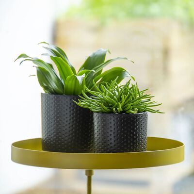 Esschert Design Подложка за растения със скоба кръгла златиста L