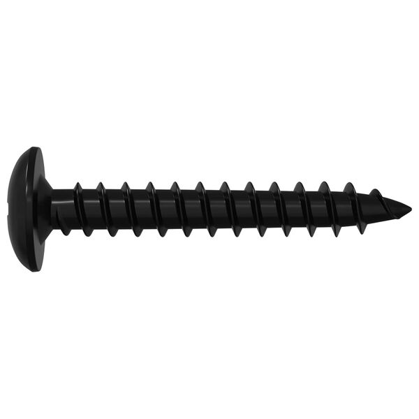 vidaXL Самонарезен гвоздей 2 pcs Черно 4 x 25 мм Стомана