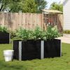 vidaXL Градинска кашпа, черен, 150x50 см, борова дървесина масив