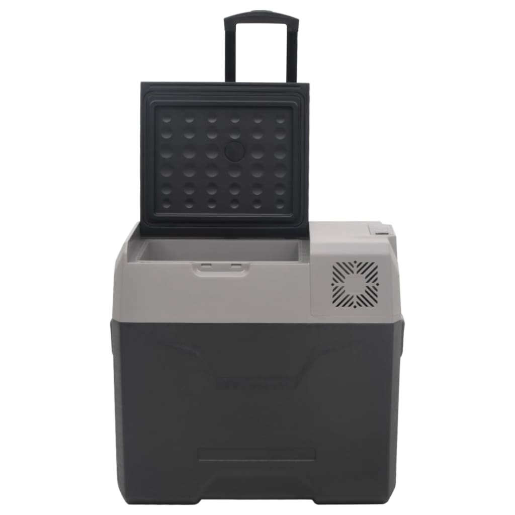 vidaXL Хладилна кутия с колелца и дръжка черно/сиво 30 л полипропилен