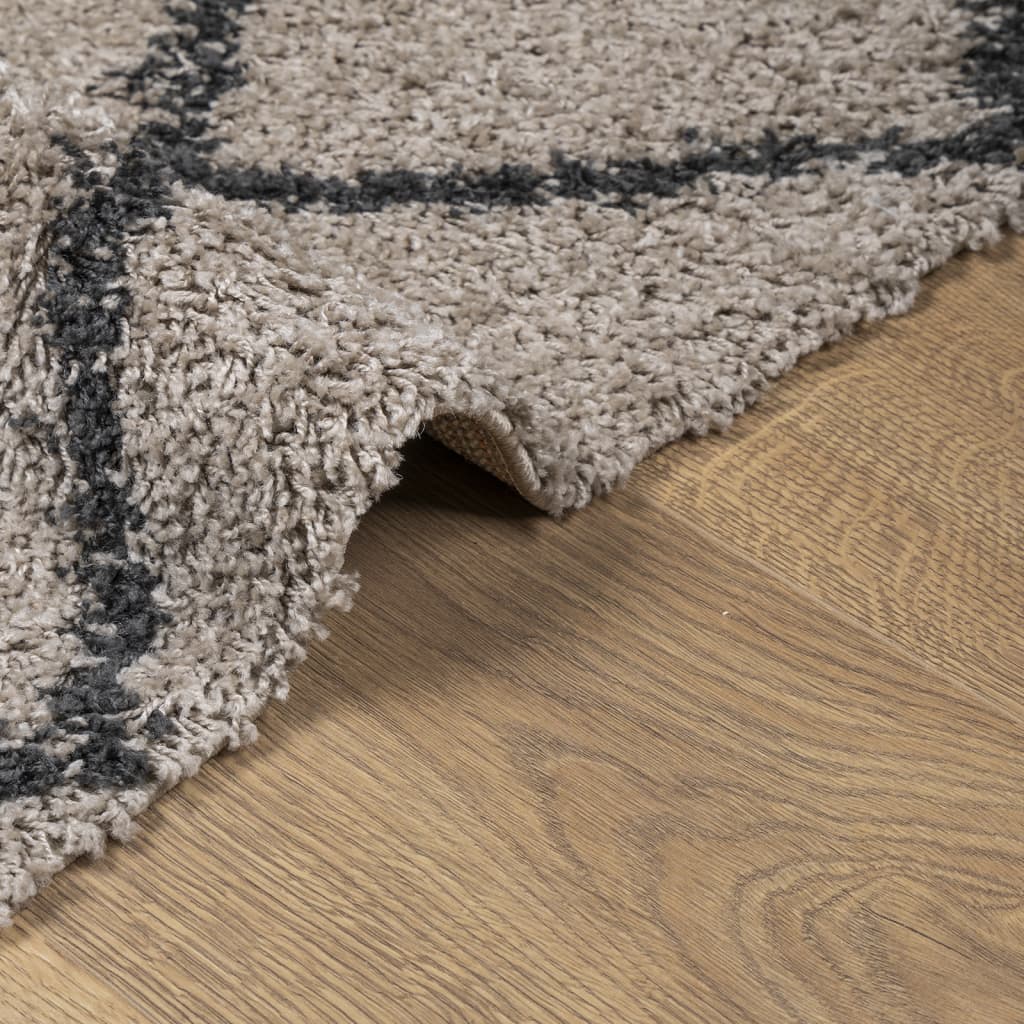 vidaXL Шаги килим с дълъг косъм "PAMPLONA" бежов и антрацит 60x110 см
