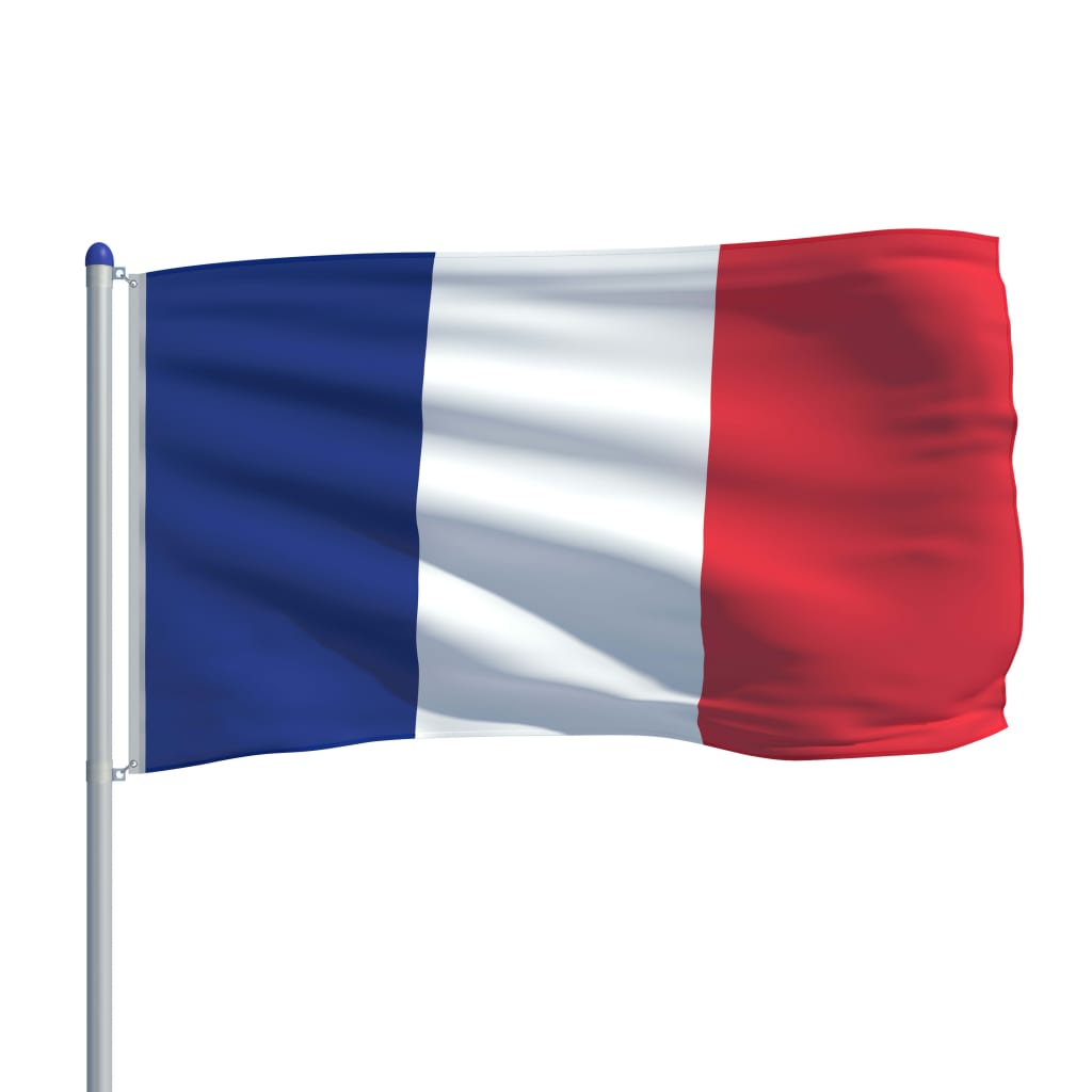 vidaXL Флаг на Франция и алуминиев флагщок, 6 м