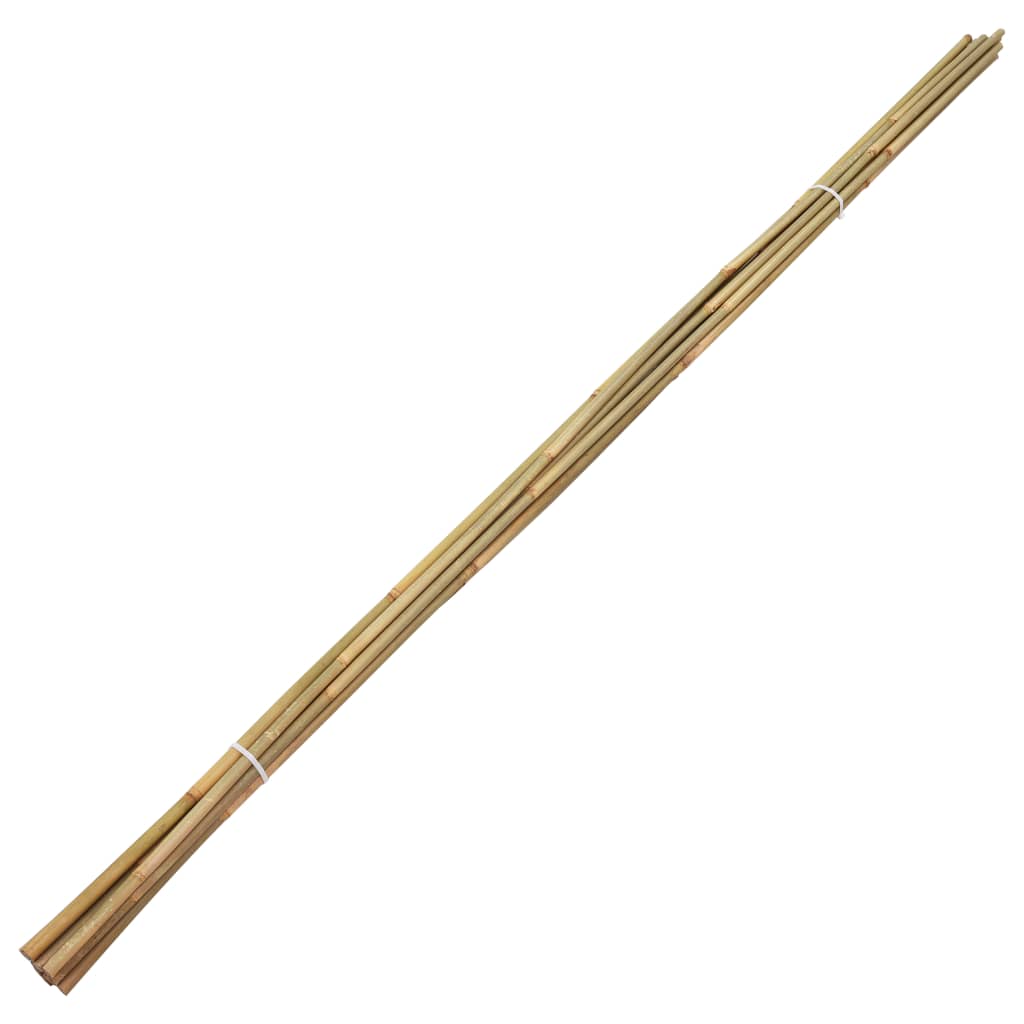 vidaXL Градински бамбукови колчета, 50 бр, 170 см
