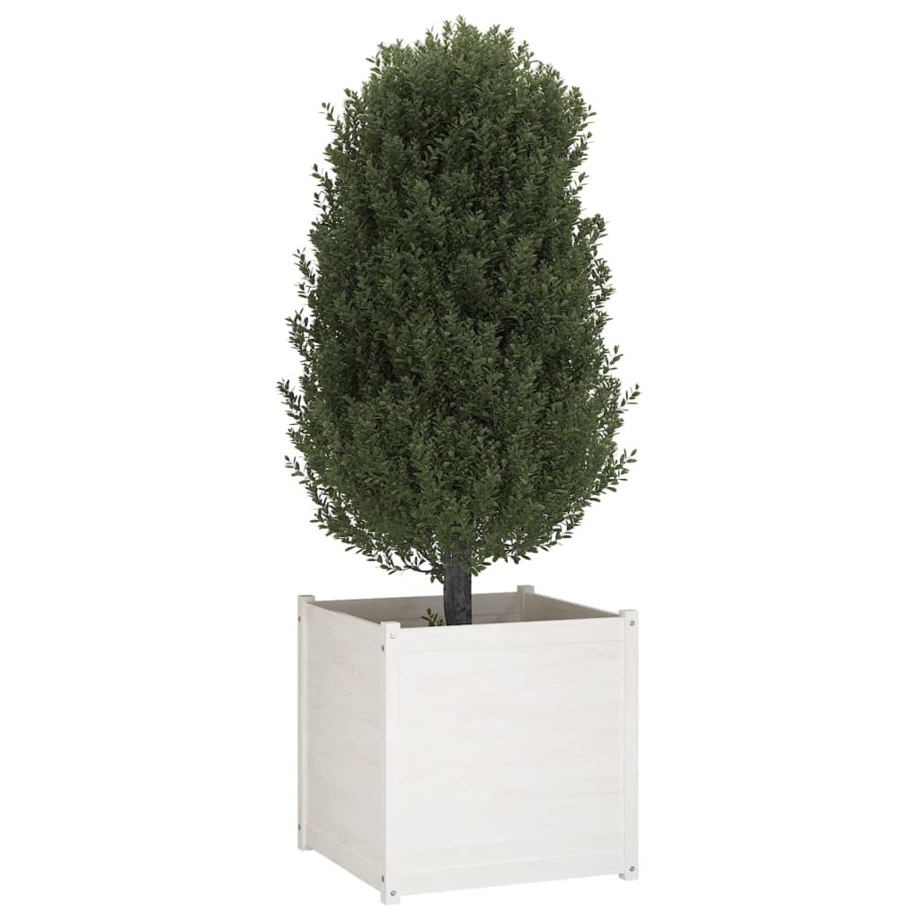 vidaXL Градински сандък, бял, 70x70x70 см, борово дърво масив