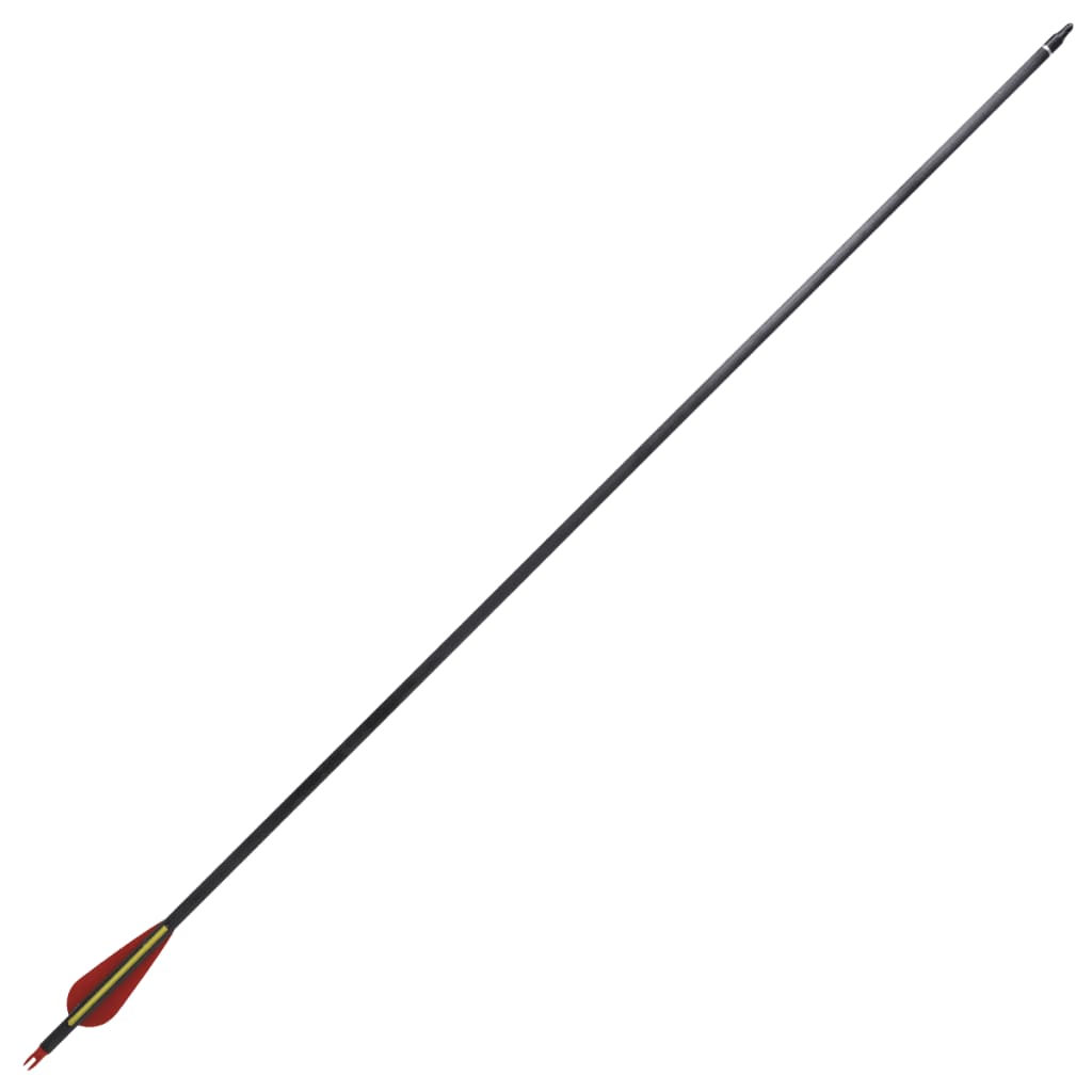 Стандартни стрели за лък 0,76 см карбонови 12 бр.