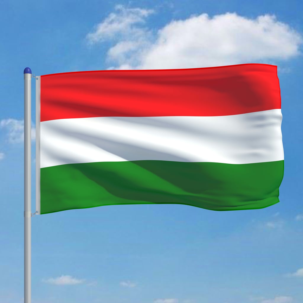 vidaXL Флаг на Унгария и алуминиев флагщок, 6 м