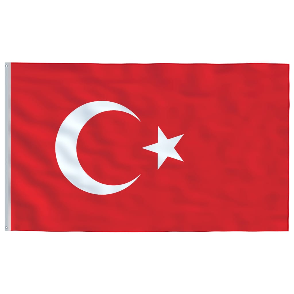 vidaXL Флаг на Турция и стълб, 6,23 м, алуминий
