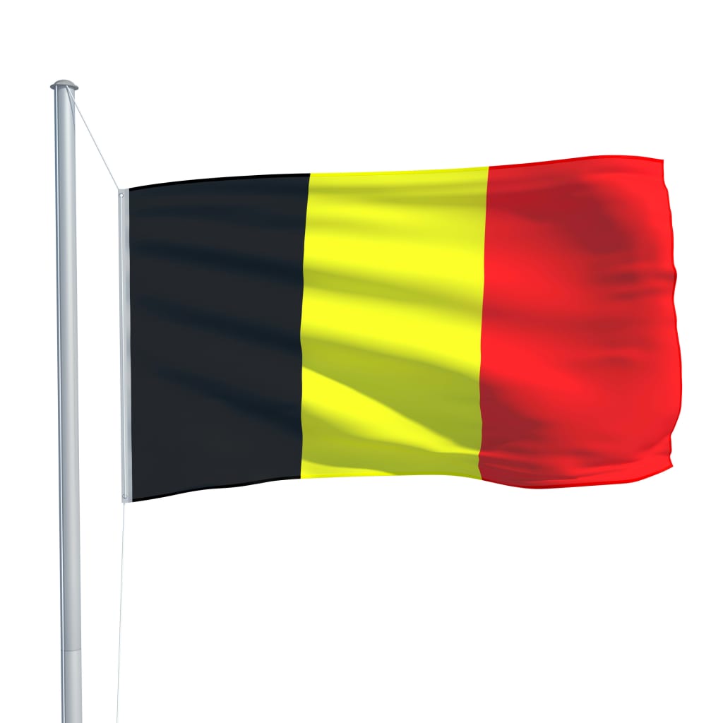 vidaXL Флаг на Белгия и алуминиев флагщок, 6,2 м