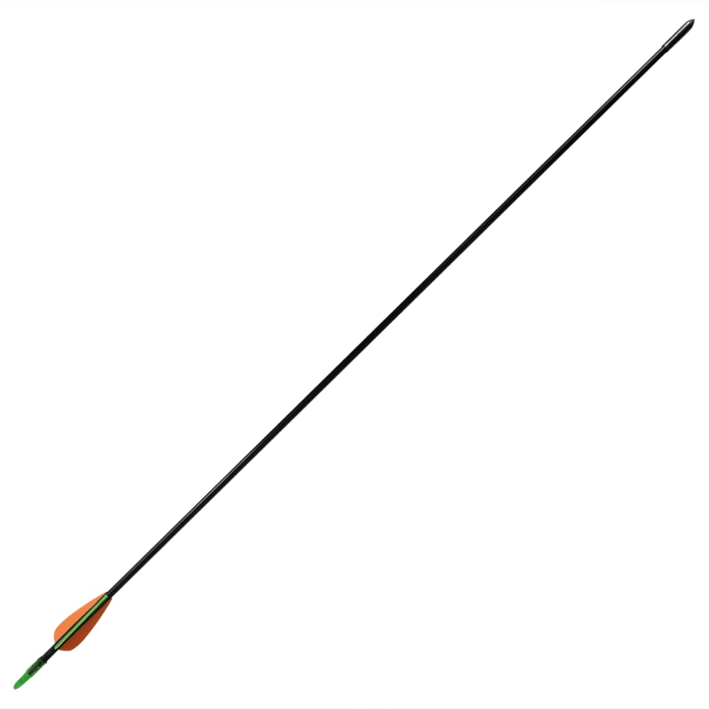 vidaXL Стандартни рекърв стрели за лък 30" 0,6 см фибростъкло 12 бр
