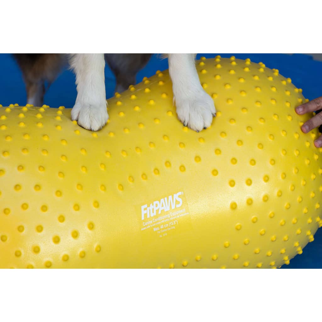 FitPAWS Платформа за баланс на куче Trax Peanut, 40 см, жълта