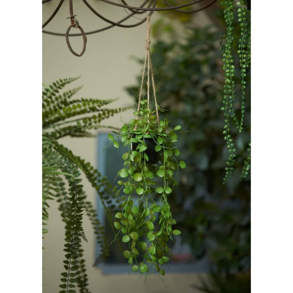 Emerald Изкуствен висящ храст Церопегия, 50 см, в саксия