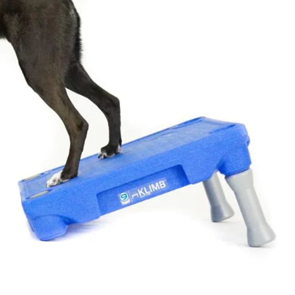 BLUE-9 Платформа за система за обучение на кучета KLIMB синя