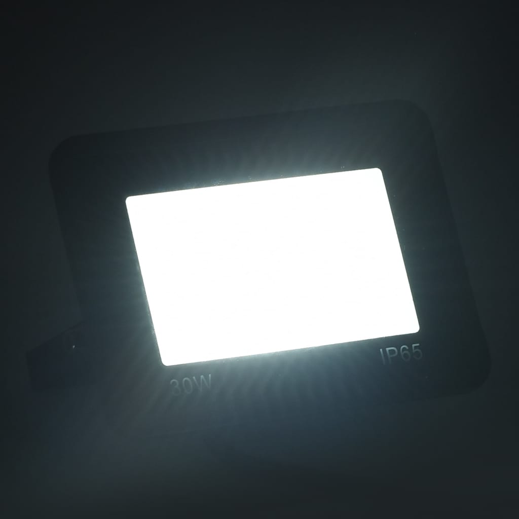 vidaXL LED прожектор, 30 W, студено бяло