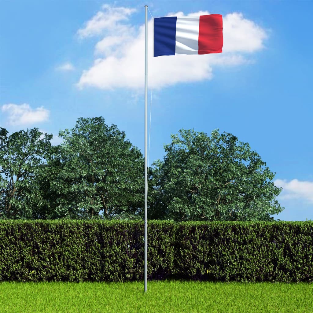 vidaXL Флаг на Франция и алуминиев флагщок, 6,2 м