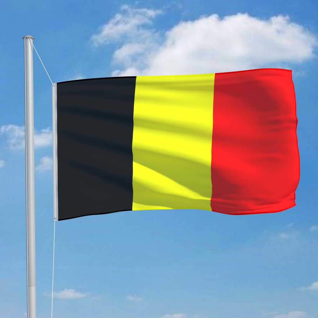 vidaXL Флаг на Белгия и алуминиев флагщок, 6,2 м