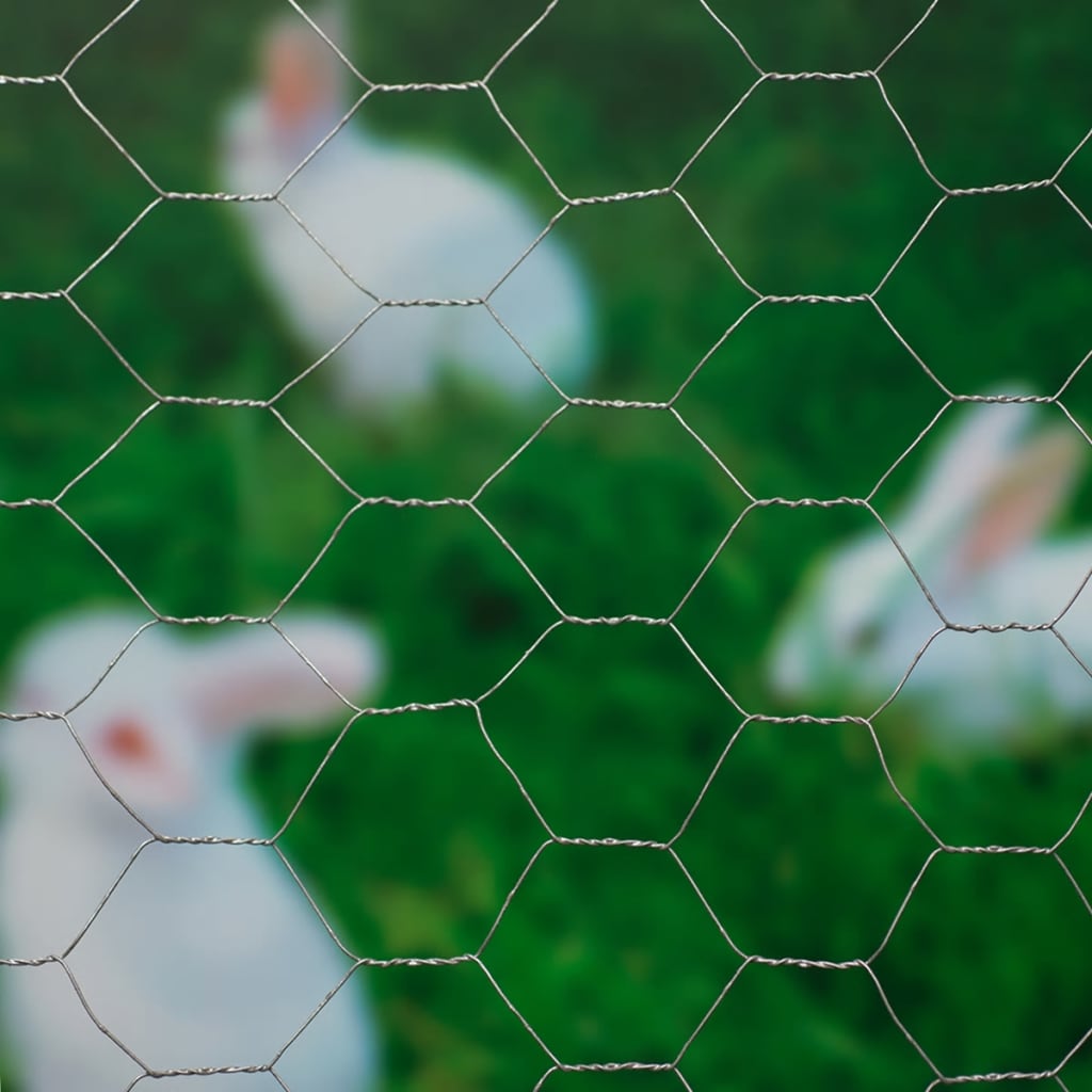 Nature Телена мрежа хексагонална 1x10 м 40 мм поцинкована стомана